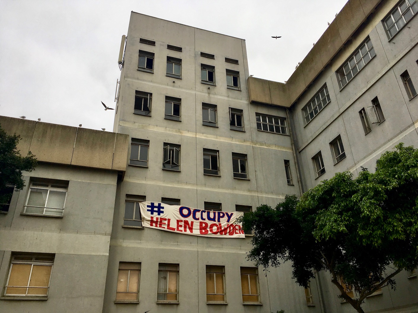 We ll Occupy Helen Bowden Building For as Long As Possible Say we-ll-occupy-helen-bowden-building-for-as-long-as-possible-say